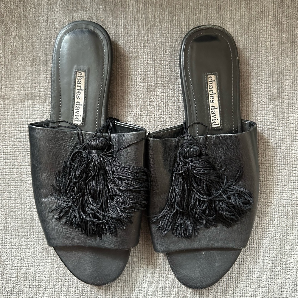 Charles David Sandals